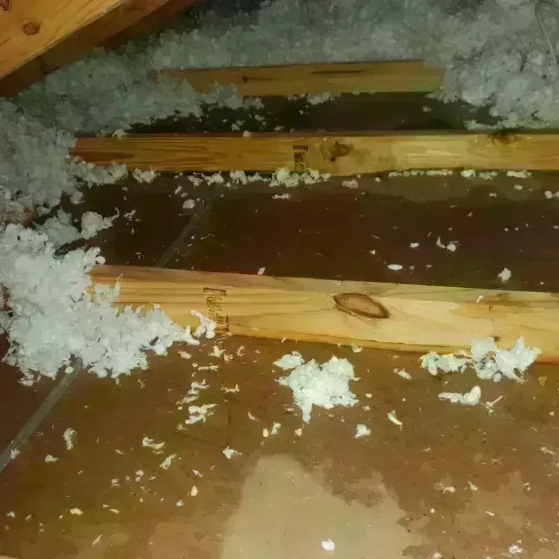 Attic Water Damage in Bacon County, GA