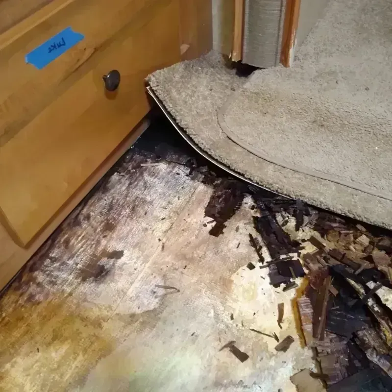 Wood Floor Water Damage in Bacon County, GA